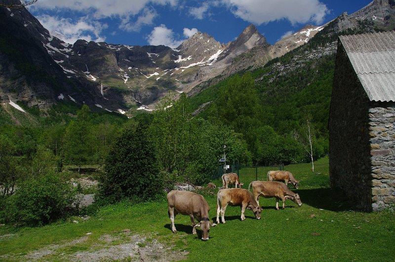 Bungalows Pena Montanesa アインサ エクステリア 写真